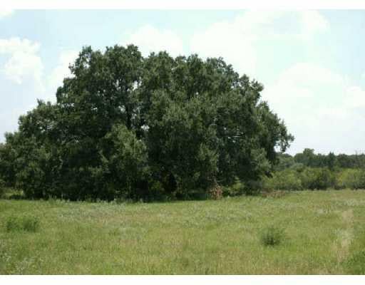 View 0 FM 304, Tract 4 0 FM 304, Tract 4 - front exterior - Luxury home in Bastrop, TX