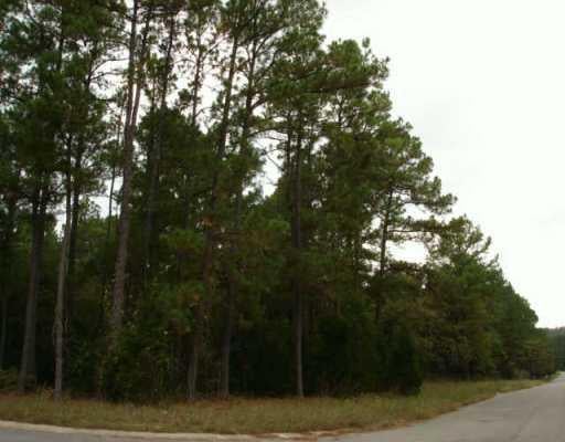 View 0 Pine View LOOP 0 Pine View LOOP - front exterior - Luxury lot in Bastrop, TX