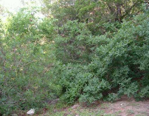 View 0 Pitter Pat LN 0 Pitter Pat LN - front exterior - Luxury lot in Austin, TX