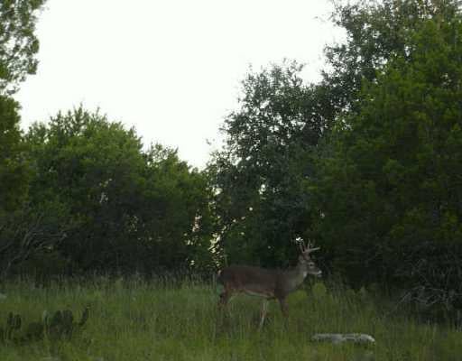 View 0 Sandy LN 0 Sandy LN - front exterior - Luxury lot in Jonestown, TX