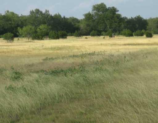 View 0 Silver Creek DR 0 Silver Creek DR - front exterior - Luxury lot in Leander, TX