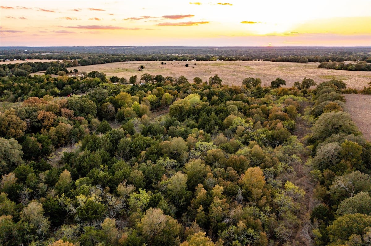 View 000 TBD 17+/- Ac Grassyville Rd in A244 000 TBD 17+/- Ac Grassyville Rd - front exterior - Luxury home in A244, Paige, TX