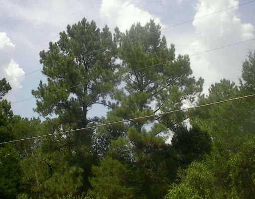 View 0000 Pine VLY 0000 Pine VLY - front exterior - Luxury lot in Bastrop, TX