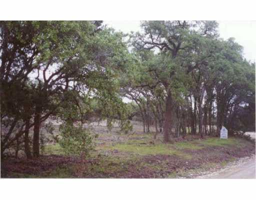 0000 Stagecoach Ranch RD - front exterior - Luxury home in Dripping Springs, TX
