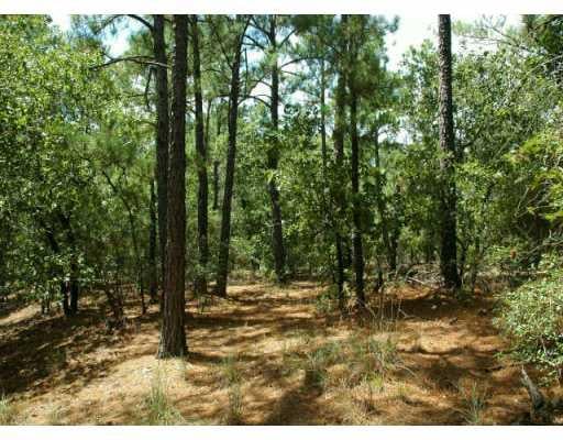 View 0000 Tall Frst 0000 Tall Frst - front exterior - Luxury lot in Bastrop, TX