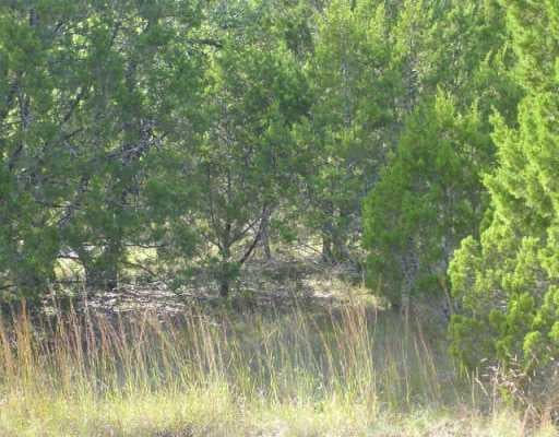 View 10815 W Lakeview DR 10815 W Lakeview DR - front exterior - Luxury lot in Jonestown, TX