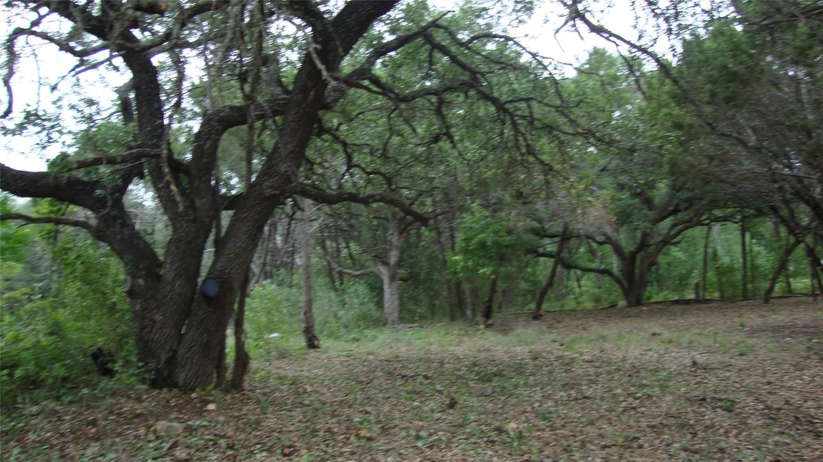 View 11112, 11106 Travis Dr in Jonestown Hills 11112, 11106 Travis Dr - front exterior - Luxury lot in Jonestown Hills, Jonestown, TX