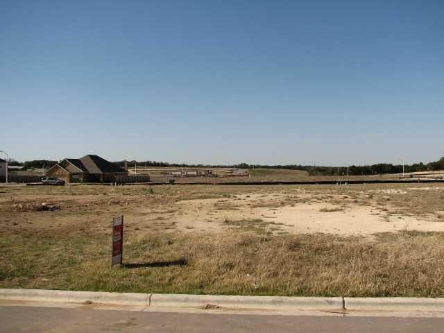 View 113 Palo Duro 113 Palo Duro - front exterior - Luxury lot in Liberty Hill, TX