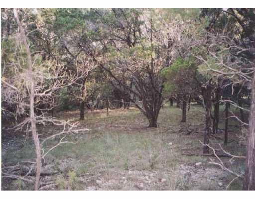 View 11524 Crumley CRK 11524 Crumley CRK - front exterior - Luxury lot in Jonestown, TX
