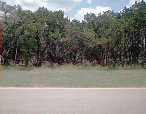 View 118 River Chase Blvd 118 River Chase Blvd - front exterior - Luxury lot in Georgetown, TX