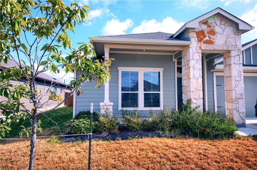 View 120 Navidad River DR 120 Navidad River DR - front exterior - Luxury home in Hutto, TX
