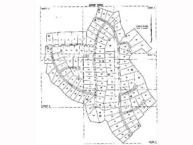 View 1209 Lion's Liar 1209 Lion's Liar - front exterior - Luxury lot in Leander, TX