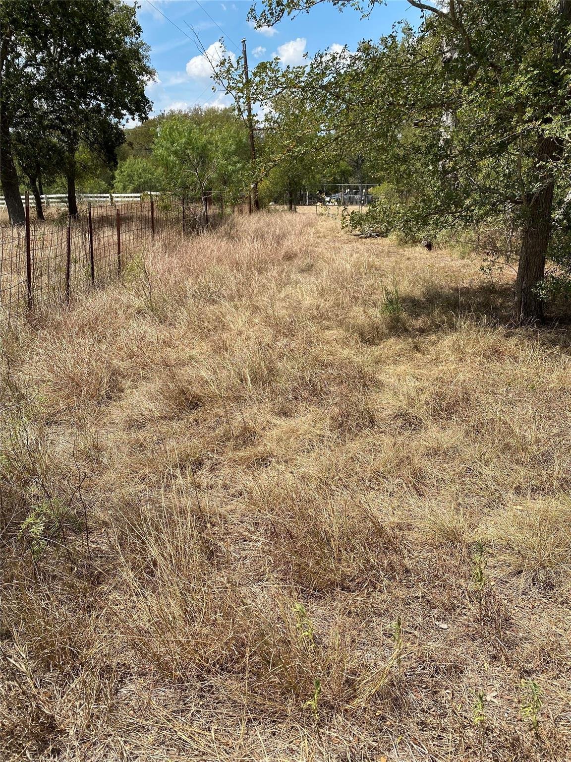 View 123 Oak Forest Ct in Oak Forest 123 Oak Forest Ct - front exterior - Luxury lot in Oak Forest, Cedar Creek, TX