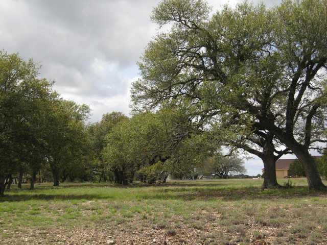 View 126 Laura LN 126 Laura LN - front exterior - Luxury lot in Liberty Hill, TX