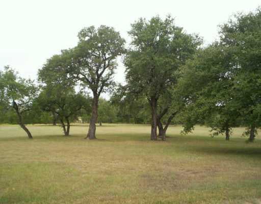 View 146 High River Ranch DR 146 High River Ranch DR - front exterior - Luxury lot in Liberty Hill, TX