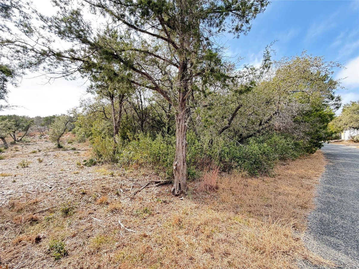 View 14701 old anderson mill Rd in volente heights 14701 old anderson mill Rd - front exterior - Luxury lot in volente heights, Leander, TX