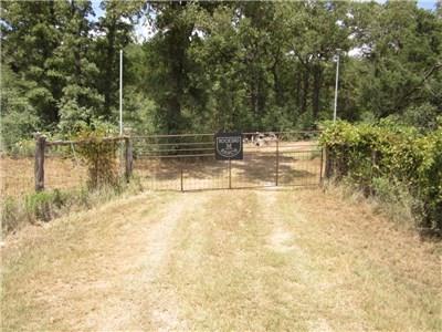 View 1682 Gotier TRCE 1682 Gotier TRCE - front exterior - Luxury home in Paige, TX