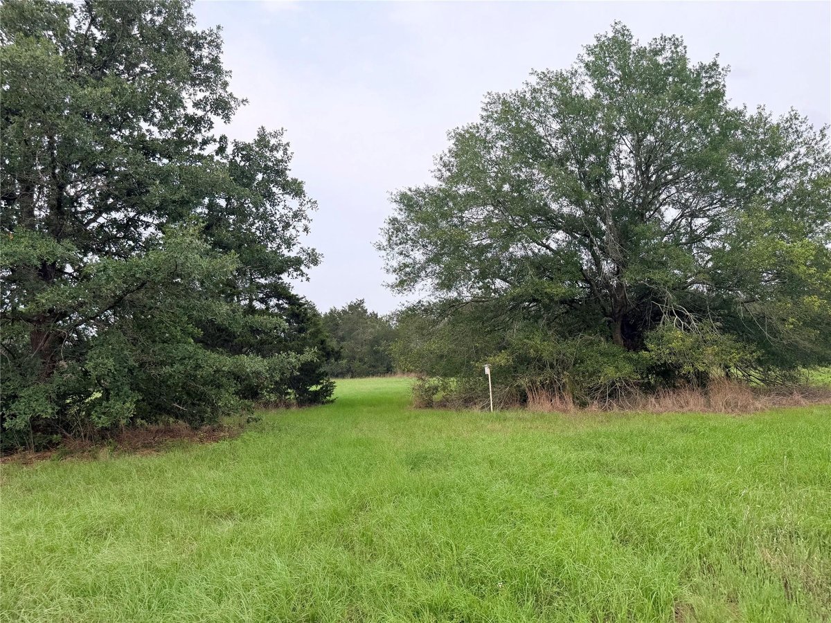 View 1766 Fm 2104 in None 1766 Fm 2104 - front exterior - Luxury home in None, Paige, TX