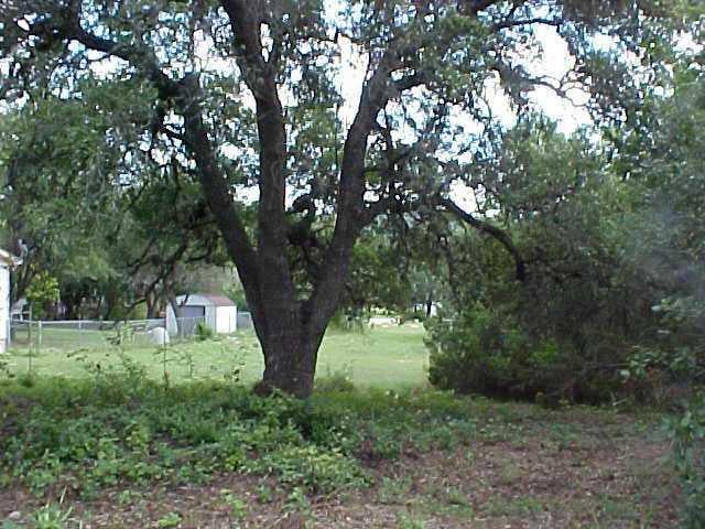 View 18215 Lake Oaks DR 18215 Lake Oaks DR - front exterior - Luxury lot in Jonestown, TX