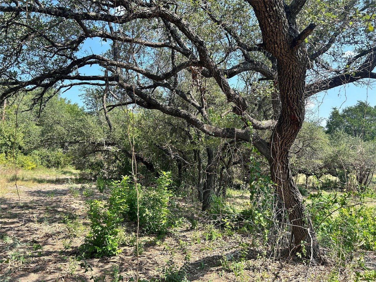 View 18310 Austin Dr in Jonestown Hills 18310 Austin Dr - front exterior - Luxury lot in Jonestown Hills, Jonestown, TX