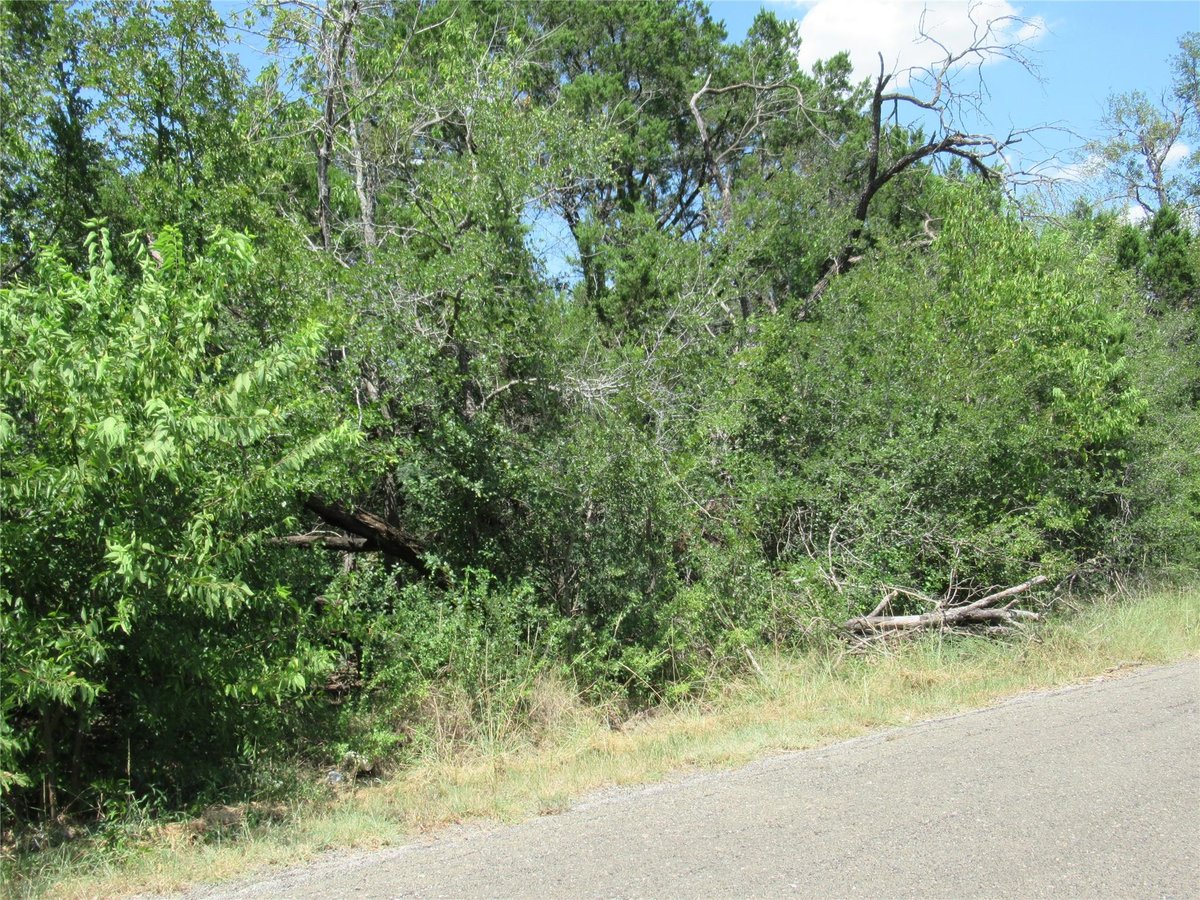 View 18400 Austin Dr in Jonestown Hills 18400 Austin Dr - front exterior - Luxury lot in Jonestown Hills, Leander, TX