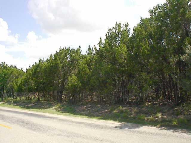 View 18507 Lakehead CIR 18507 Lakehead CIR - front exterior - Luxury lot in Point Venture, TX