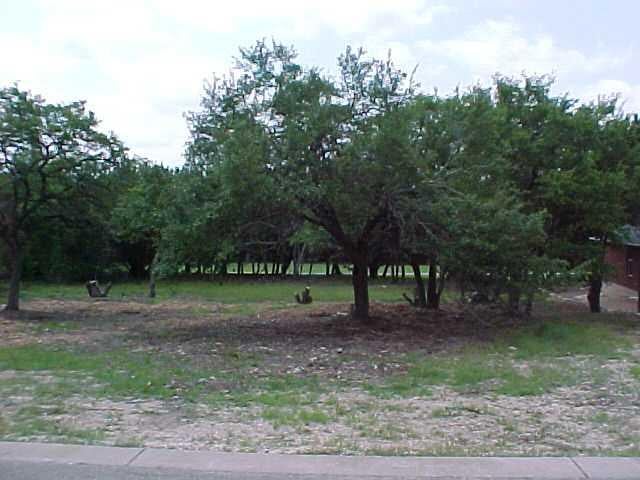 View 18801 Venture DR 18801 Venture DR - front exterior - Luxury lot in Point Venture, TX