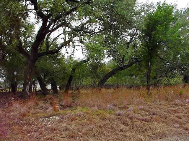 View 18813 Kelly Dr 18813 Kelly Dr - front exterior - Luxury lot in Point Venture, TX