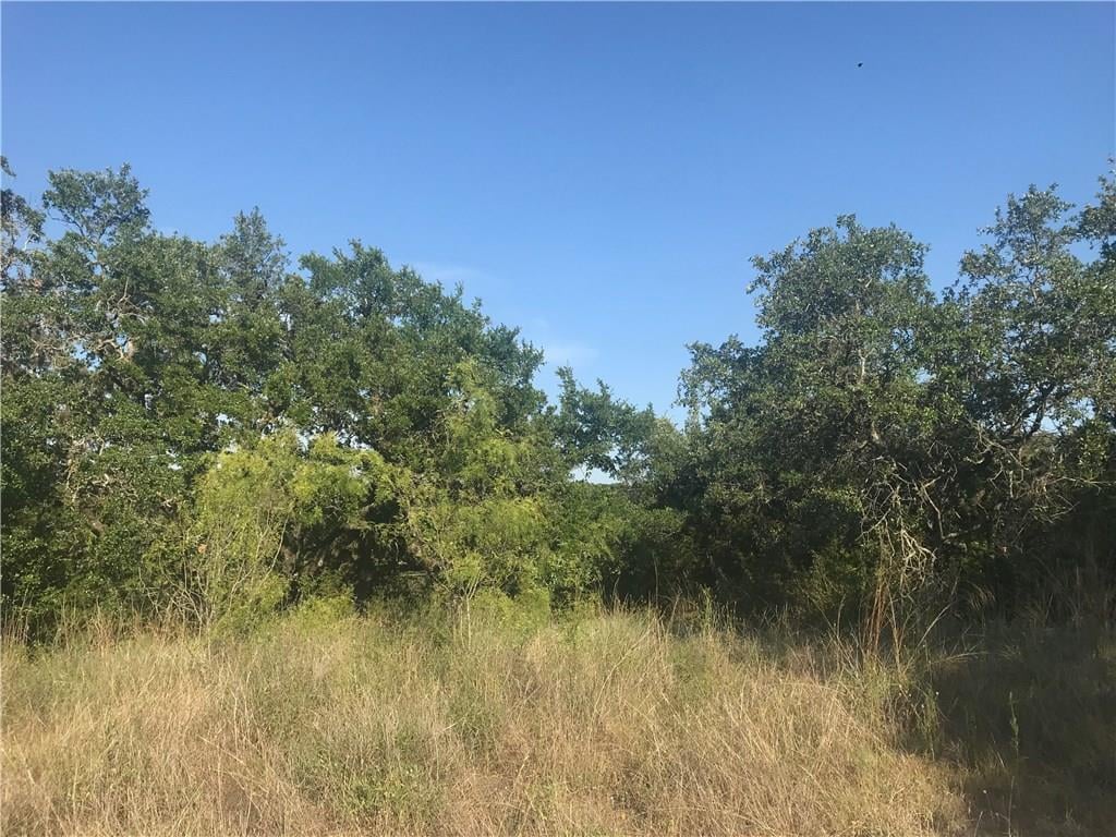View 1904 Big Horn Dr in Apache Shores Sec 06 1904 Big Horn Dr - front exterior - Luxury lot in Apache Shores Sec 06, Austin, TX
