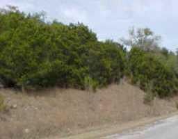 View 20709 Rawhide TRL 20709 Rawhide TRL - front exterior - Luxury lot in Lago Vista, TX