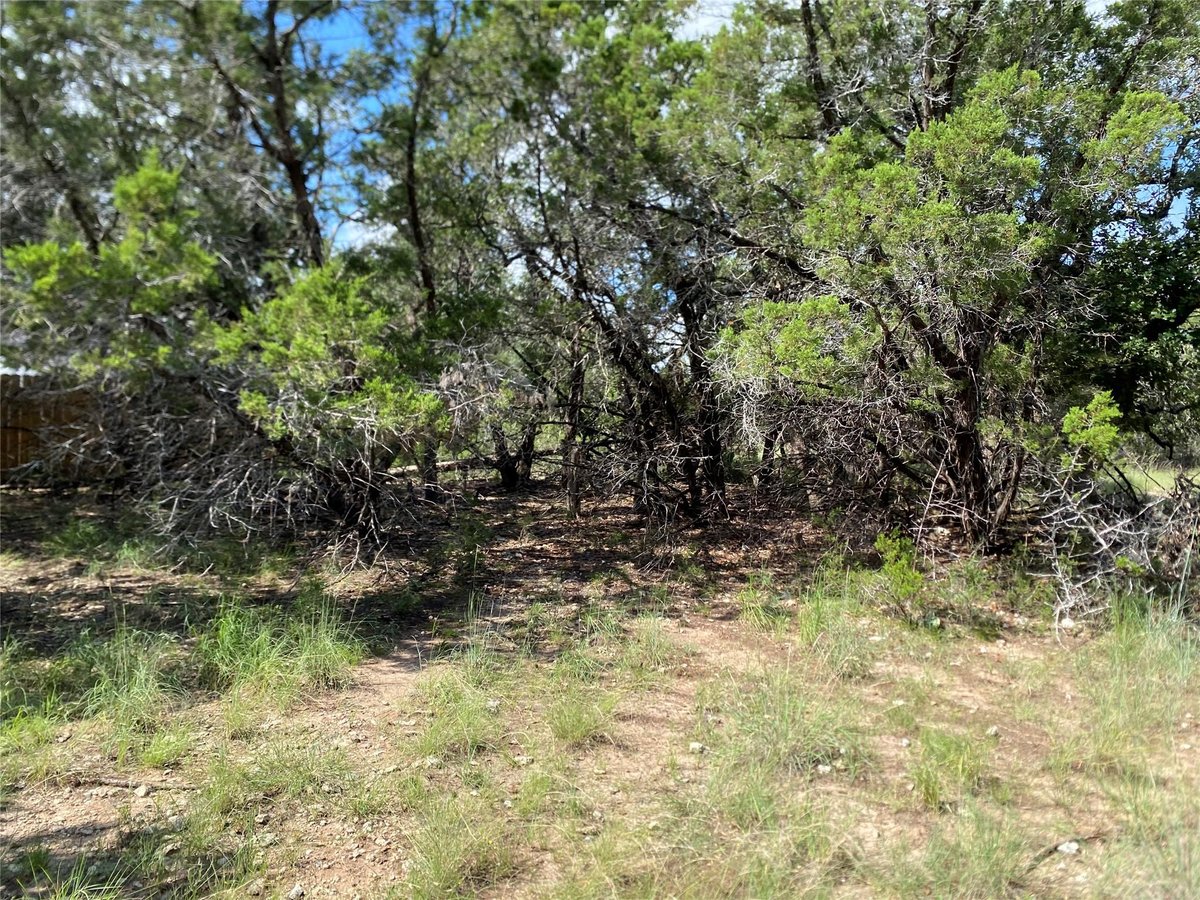 View 21105 Santa Rosa Ave in Highland Lake Estates Sec 30 21105 Santa Rosa Ave - front exterior - Luxury lot in Highland Lake Estates Sec 30, Lago Vista, TX