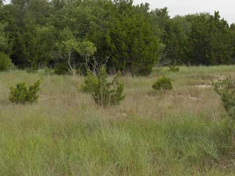 View 21406 Boggy Ford RD 21406 Boggy Ford RD - front exterior - Luxury lot in Lago Vista, TX