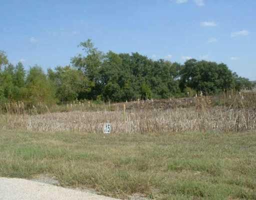View 216 Christine LN 216 Christine LN - front exterior - Luxury lot in Liberty Hill, TX