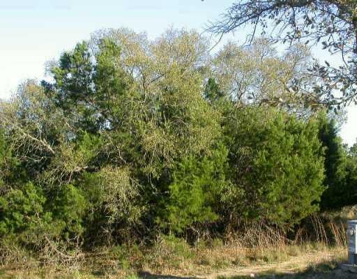 View 3105 Hooker CV 3105 Hooker CV - front exterior - Luxury lot in Lago Vista, TX