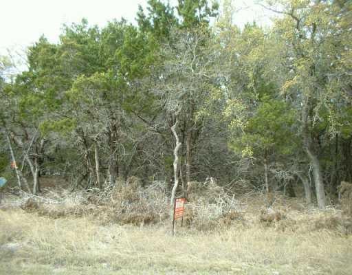 View 329 Stonegate LN 329 Stonegate LN - front exterior - Luxury lot in Dripping Springs, TX