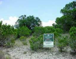 View 413 Cascade Cir 413 Cascade Cir - front exterior - Luxury lot in Point Venture, TX