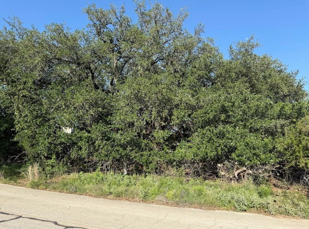 View 4209 Rockwood DR in Country Club Estates Sec 07 4209 Rockwood DR - front exterior - Luxury lot in Country Club Estates Sec 07, Lago Vista, TX