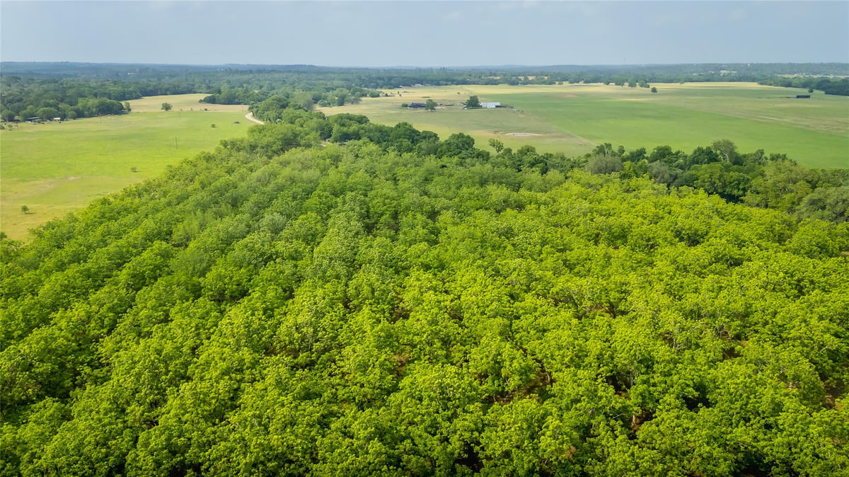 View 452 Ponderosa Rd in Highsmith, A M 452 Ponderosa Rd - front exterior - Luxury home in Highsmith, A M, Bastrop, TX