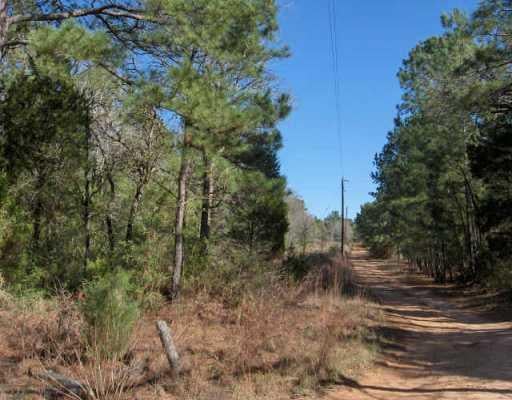 View 5 a. Squirrel RUN 5 a. Squirrel RUN - front exterior - Luxury lot in Paige, TX