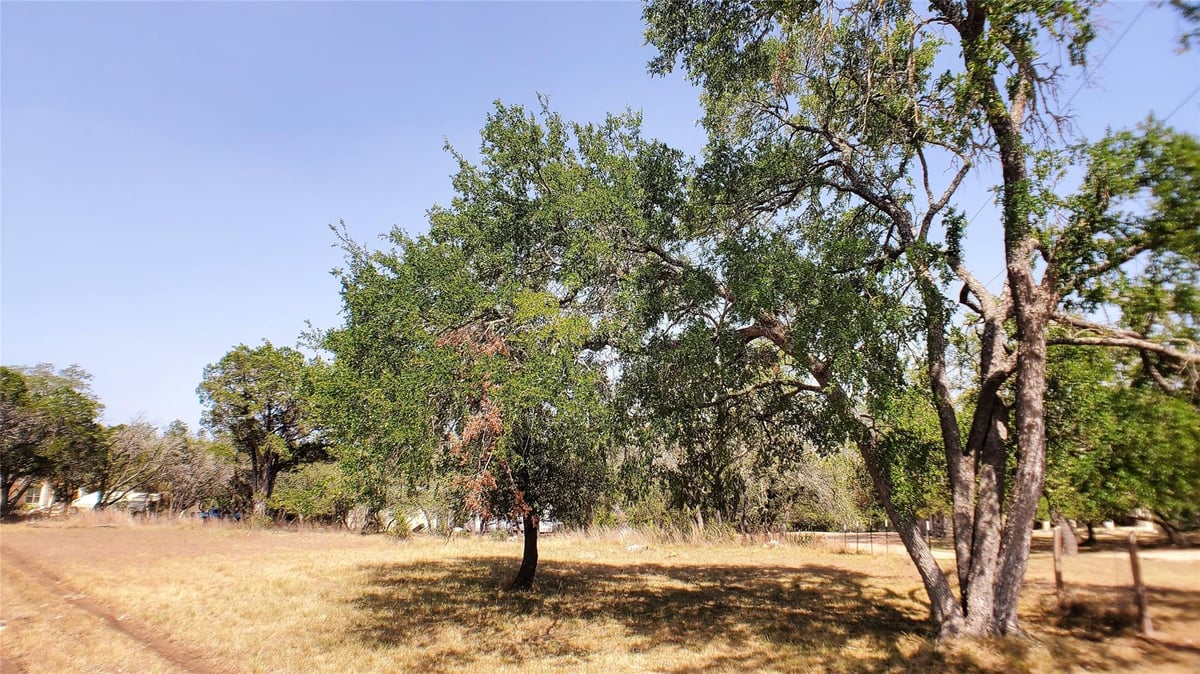 View 650 Beauchamp Rd in Shady Valley Iii 650 Beauchamp Rd - front exterior - Luxury lot in Shady Valley Iii, Dripping Springs, TX