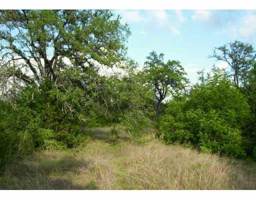 View 6565 County Rd 200 6565 County Rd 200 - front exterior - Luxury lot in Liberty Hill, TX