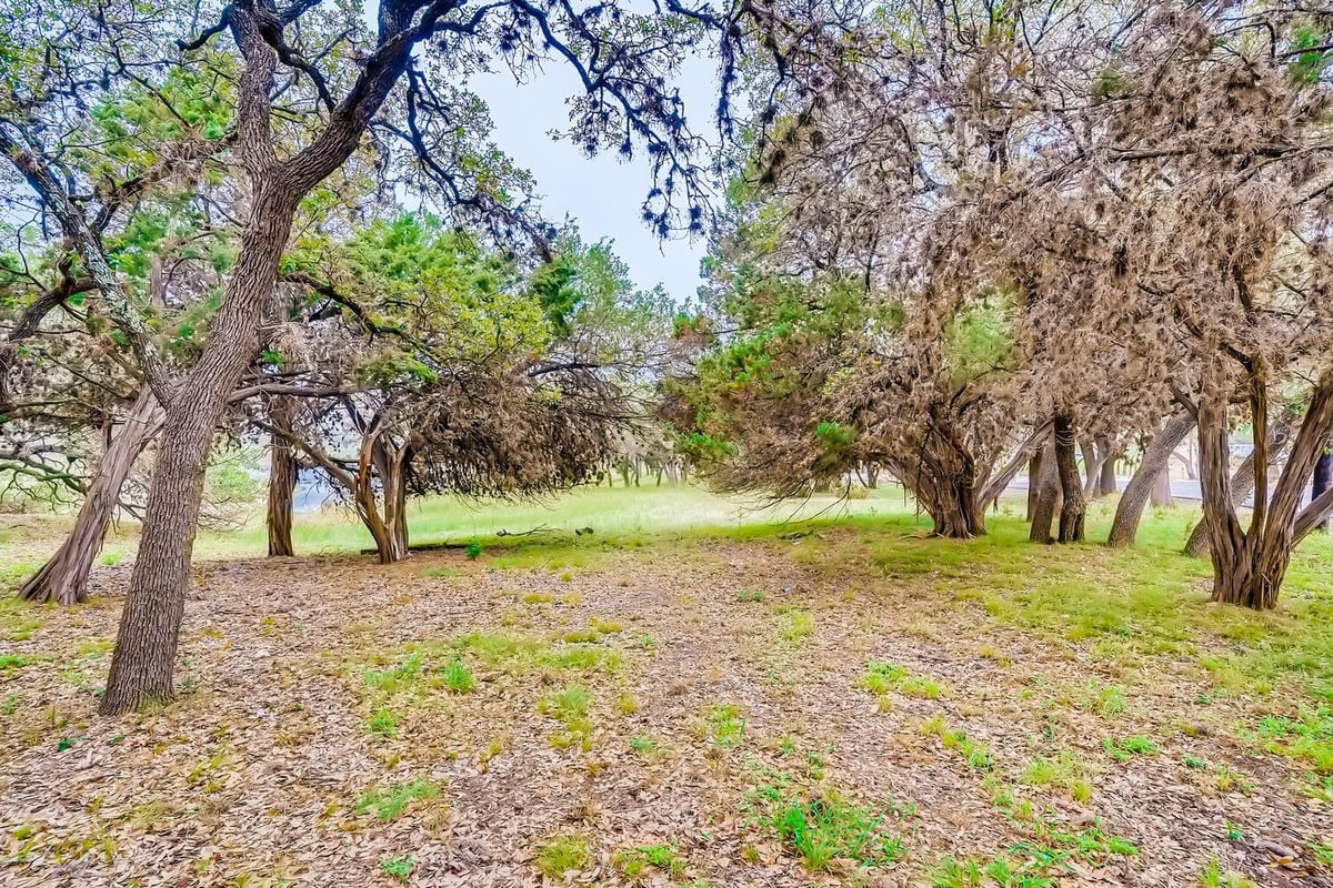 View 6703 Bar K Ranch in Bar-K Ranches 02 6703 Bar K Ranch - front exterior - Luxury lot in Bar-K Ranches 02, Lago Vista, TX