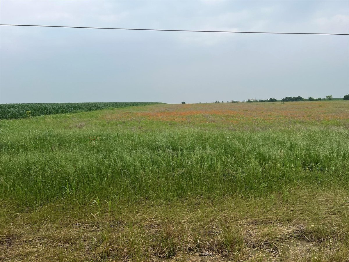 View 6900 State Highway 95 Hwy N in Granger 6900 State Highway 95 Hwy N - front exterior - Luxury lot in Granger, Granger, TX