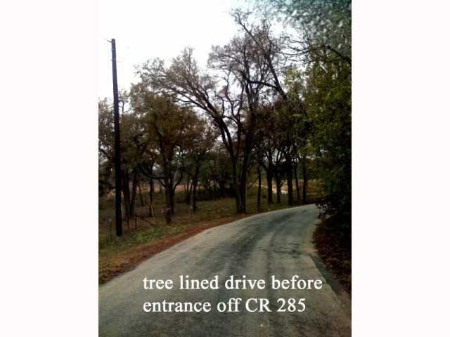 View 700 Little River Rd in Burleson R Sur 700 Little River Rd - front exterior - Luxury home in Burleson R Sur, Austin, TX