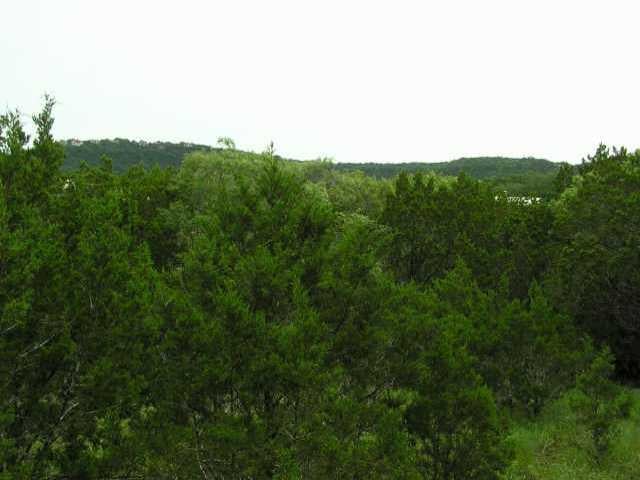 View 7405 Little Oak CIR 7405 Little Oak CIR - front exterior - Luxury lot in Lago Vista, TX