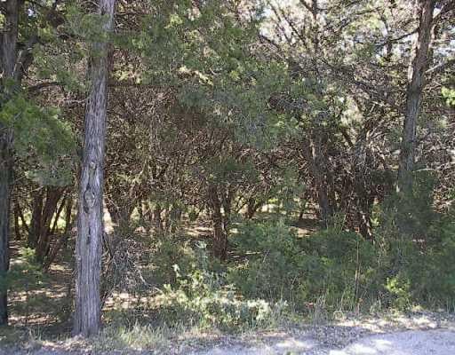 View 7509 Bar K Ranch Rd 7509 Bar K Ranch Rd - front exterior - Luxury lot in Lago Vista, TX