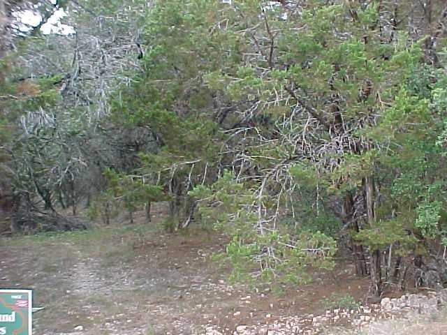 View 8122 Aztec TRL 8122 Aztec TRL - front exterior - Luxury lot in Lago Vista, TX