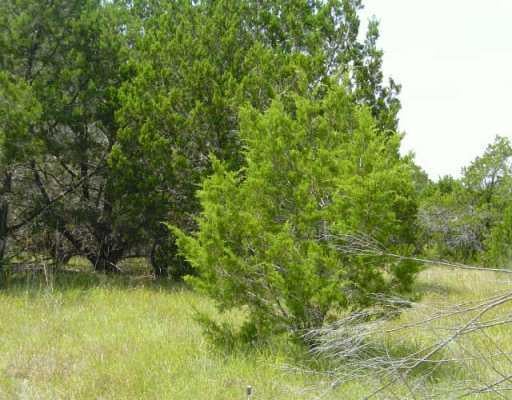 View 8125 Arroyo Ave 8125 Arroyo Ave - front exterior - Luxury lot in Lago Vista, TX