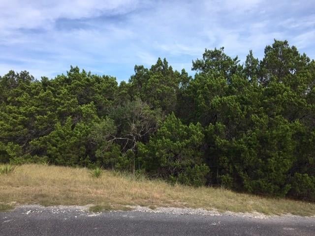 View 8400 Timber TRL 8400 Timber TRL - front exterior - Luxury lot in Lago Vista, TX