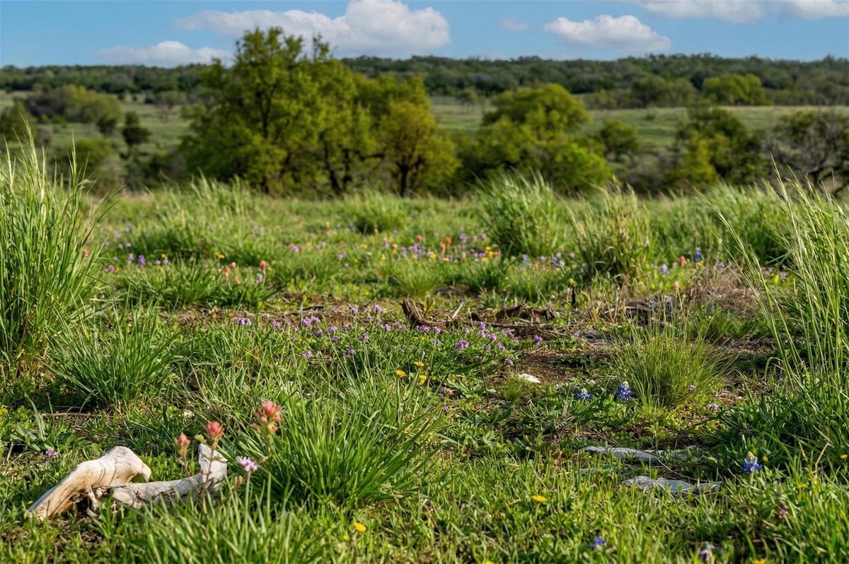 View Lot 20 Gracewood Way in Maddalena Ranch Lot 20 Gracewood Way - front exterior - Luxury lot in Maddalena Ranch, Dripping Springs, TX